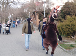 Кого только не встретишь на курорте!