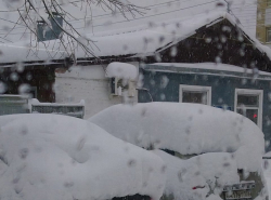 Вон сколько снега навалило в Краснодаре!