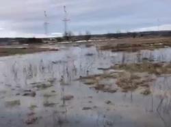 Нижняя Гостагайка готовится к заплыву