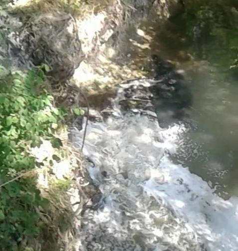 В посёлке под Анапой из-за слива нечистот в реку болеют дети и взрослые