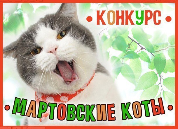 Поторопитесь принять участие в конкурсе «Мартовские коты»