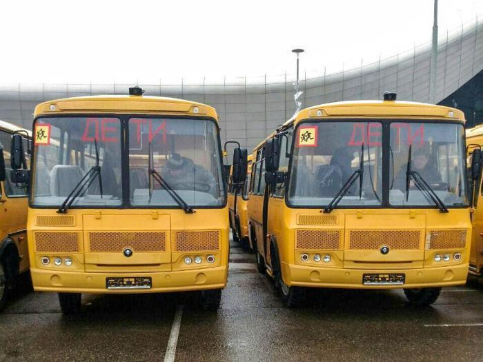 Губернатор объяснил, что новыми школьными автобусами Анапа обязана президенту