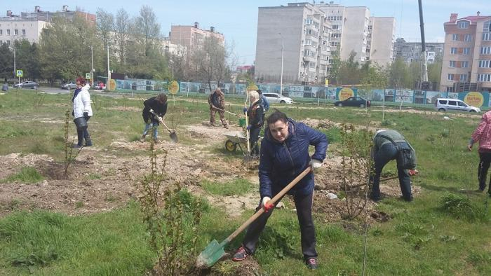В Анапе появился вишнёвый сад в память о погибших в пожаре в Кемерово