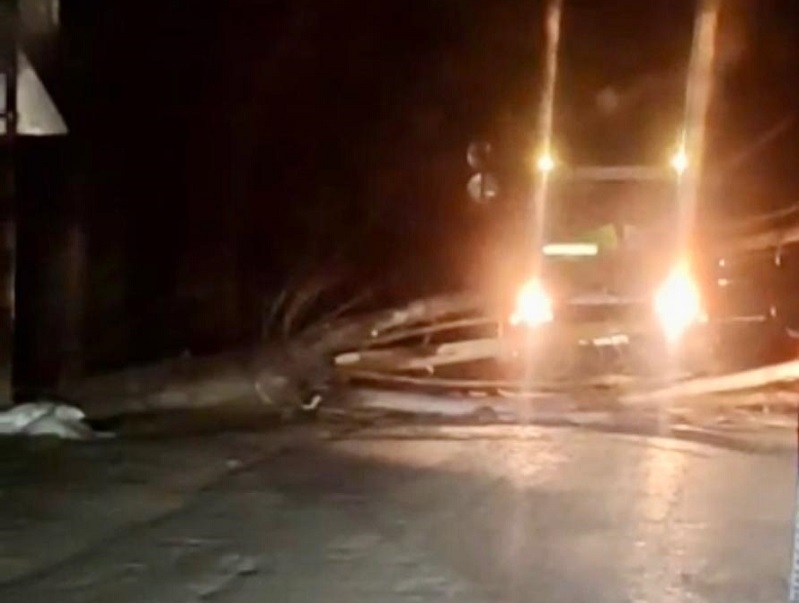 Ночью в Пятихатках под Анапой дерево рухнуло на дорогу – видео
