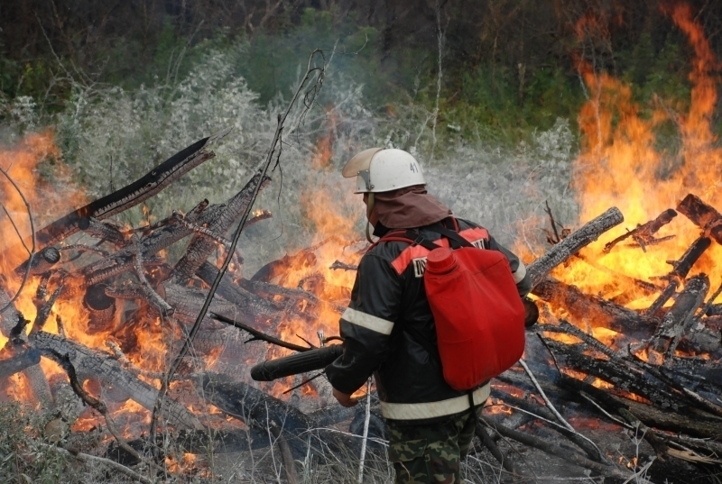 В Анапе проведут учения по ликвидации природных пожаров