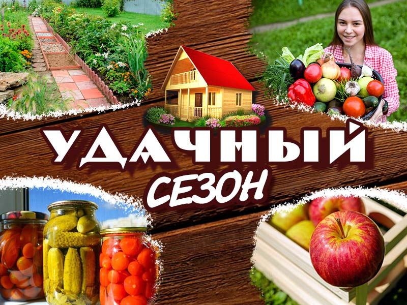 Удачный Сезон Интернет Магазин Официальный Сайт