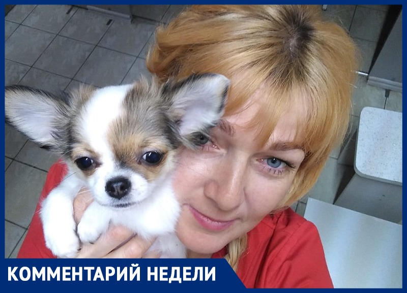 можно ли кормить лебедей хлебом летом